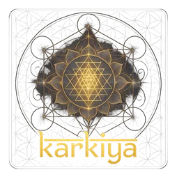 karkiya মোবাইল নিরাপত্তা সতর্কতা